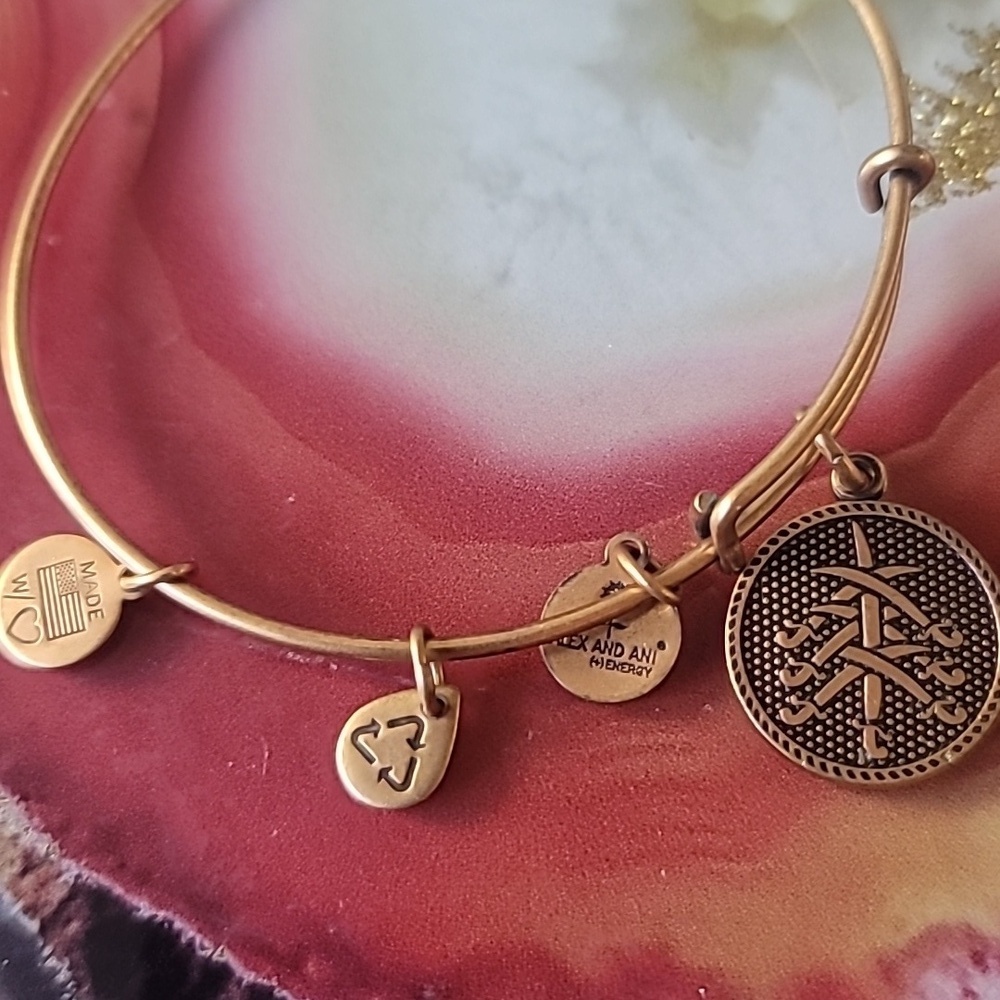 Alex and Ani Energy Charm Bracelet - Picture 2 of 5